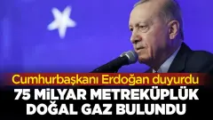 erdoğan doğalgaz